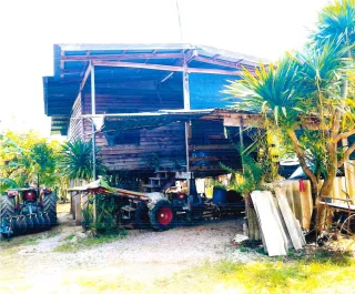 รูปทรัพย์ 2