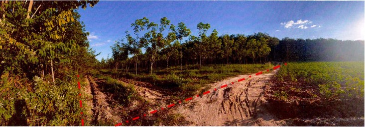 ขายทอดตลาด ที่ดินว่างเปล่า ต.หนองบัวบาน อ.หนองวัวซอ จ.อุดรธานี