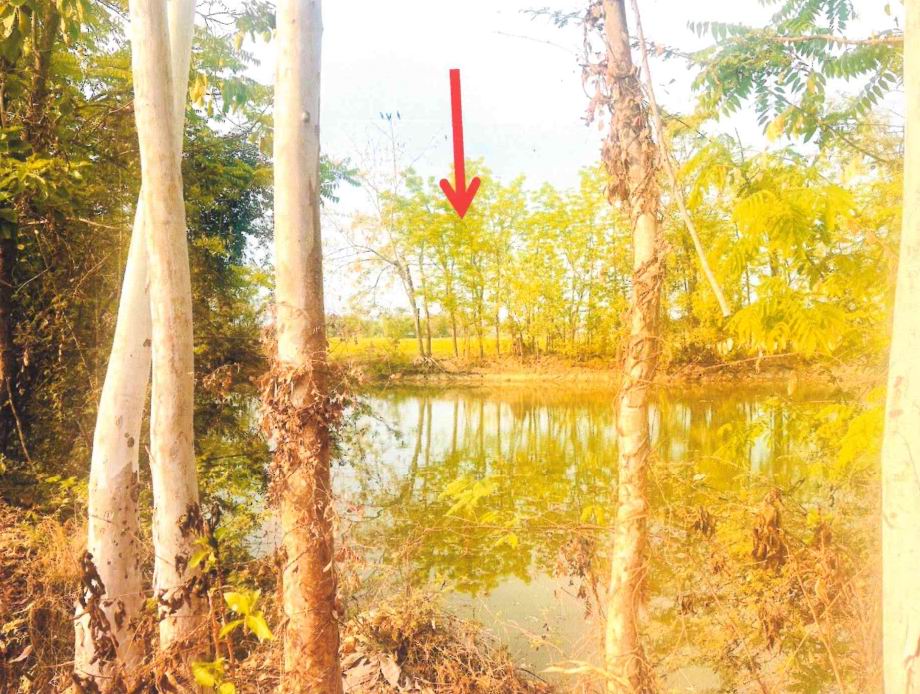 ขายทอดตลาด ที่ดินว่างเปล่า จ.สุโขทัย