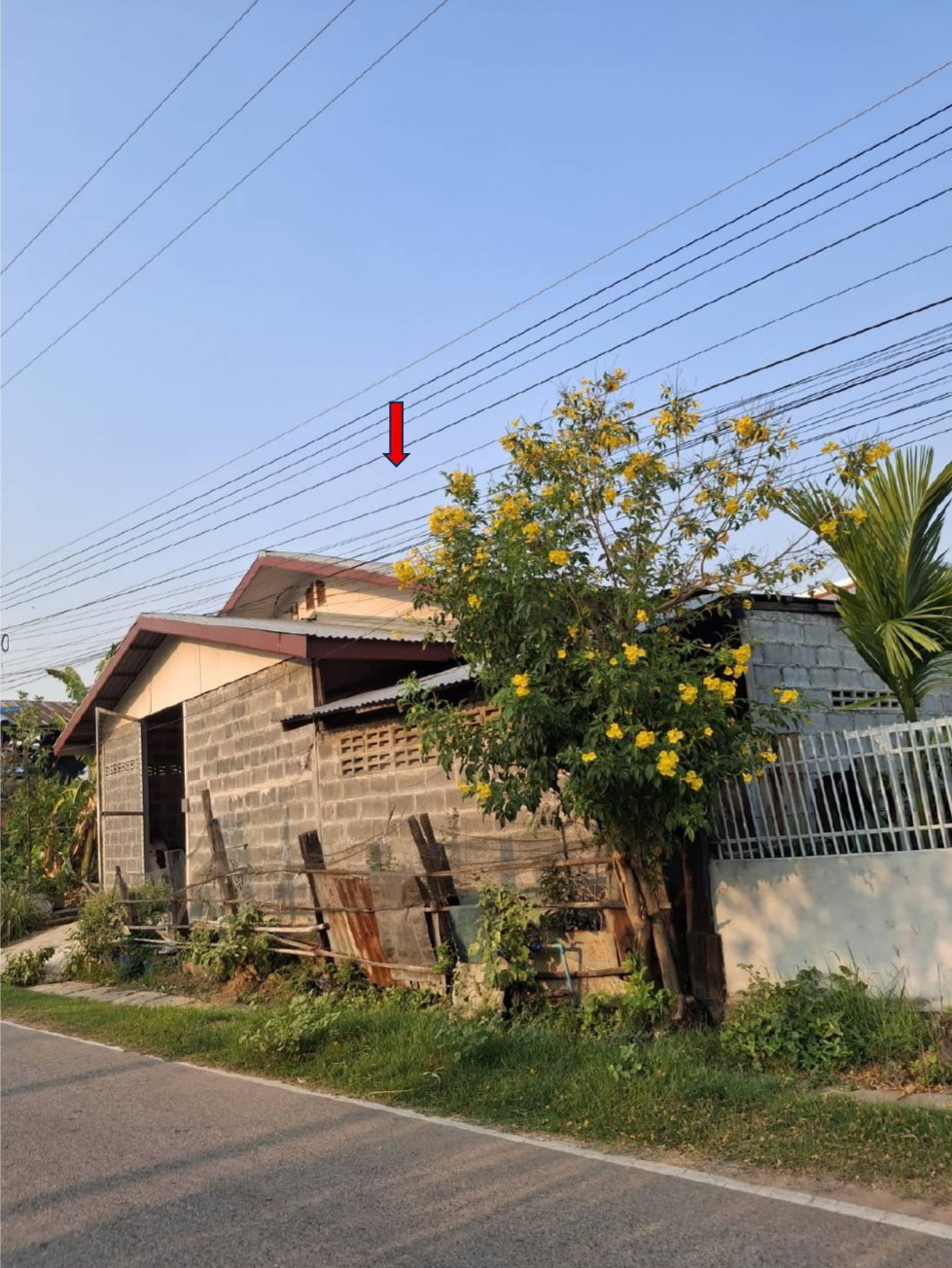 ขายทอดตลาด ที่ดินพร้อมสิ่งปลูกสร้าง ต.ลาดใหญ่ อ.เมืองชัยภูมิ จ.ชัยภูมิ