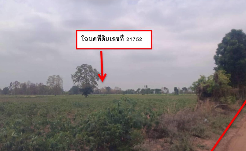 ขายทอดตลาด ที่ดินว่างเปล่า จ.ชัยภูมิ