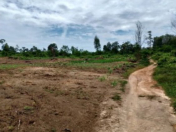 ขายทอดตลาด ที่ดินว่างเปล่า จ.นราธิวาส
