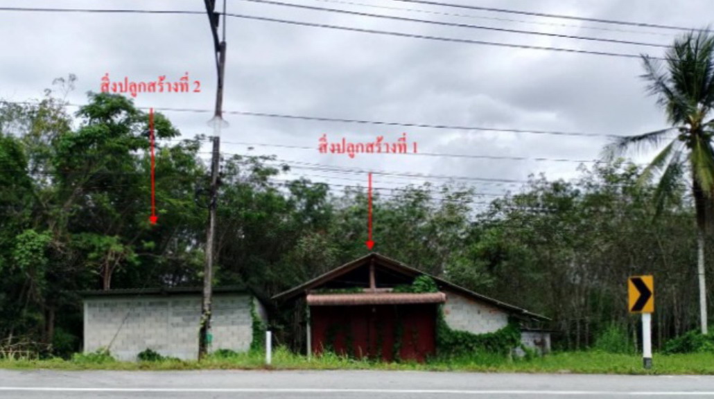 ขายทอดตลาด ที่ดินพร้อมสิ่งปลูกสร้าง ต.ตะมะยูง อ.ศรีสาคร จ.นราธิวาส