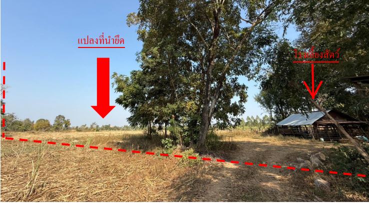 ขายทอดตลาด ที่ดินพร้อมสิ่งปลูกสร้าง ต.บ้านผือ อ.บ้านผือ จ.อุดรธานี