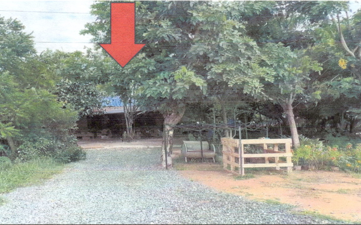ขายทอดตลาด ที่ดินพร้อมสิ่งปลูกสร้าง ต.บ้านเพชร อ.บำเหน็จณรงค์ จ.ชัยภูมิ