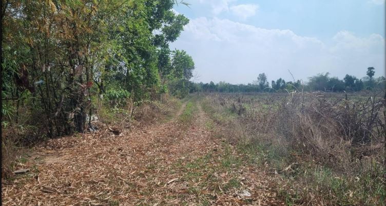 ขายทอดตลาด ที่ดินว่างเปล่า จ.อุดรธานี