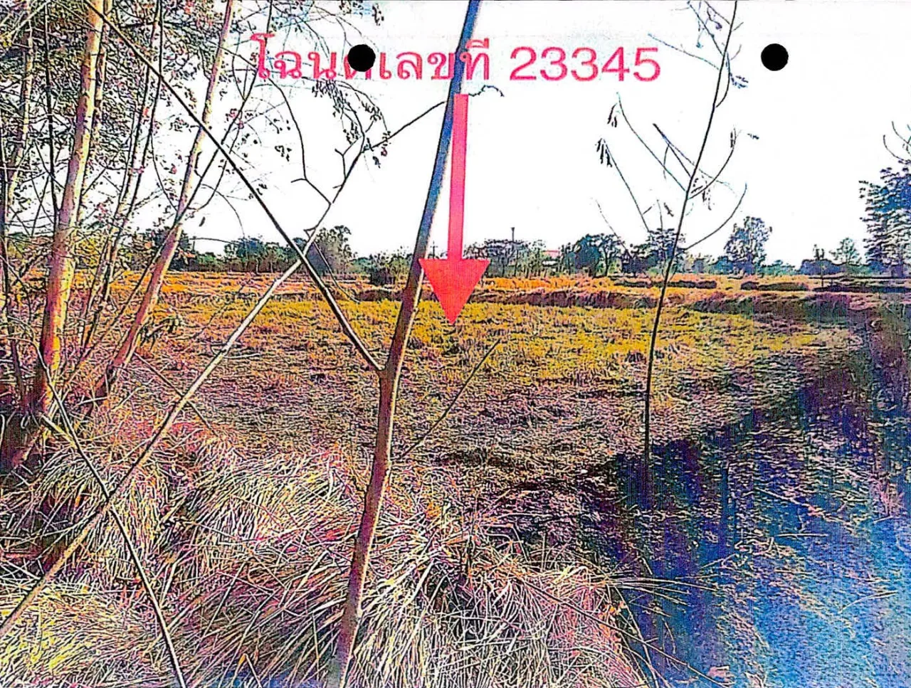 ขายทอดตลาด ที่ดินว่างเปล่า จ.ชัยภูมิ