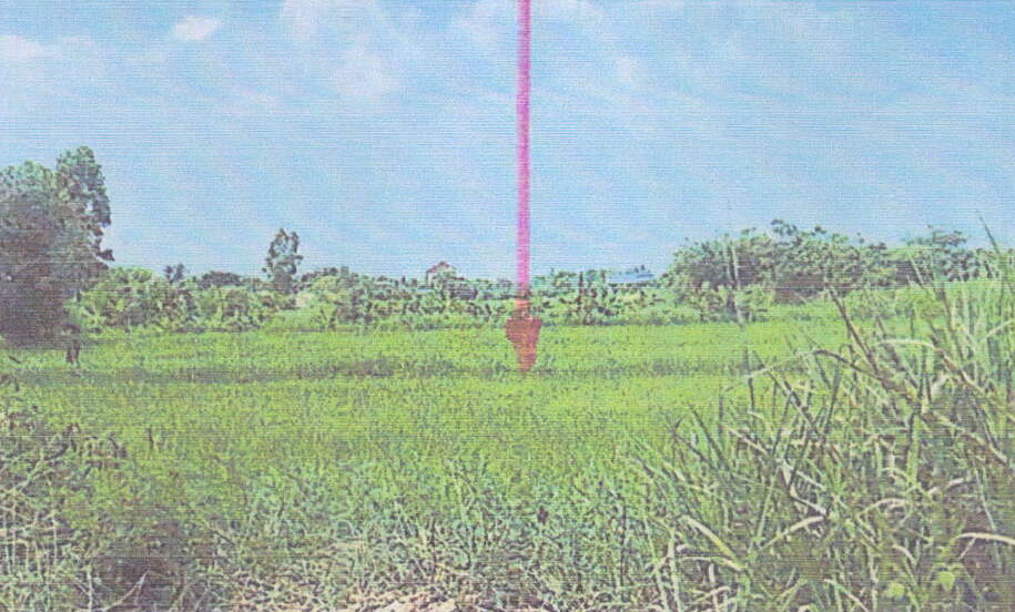 ขายทอดตลาด ที่ดินว่างเปล่า จ.ชัยภูมิ