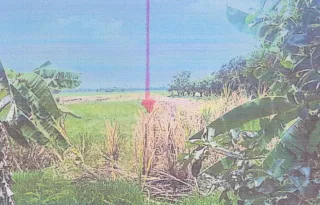 รูปทรัพย์ 2
