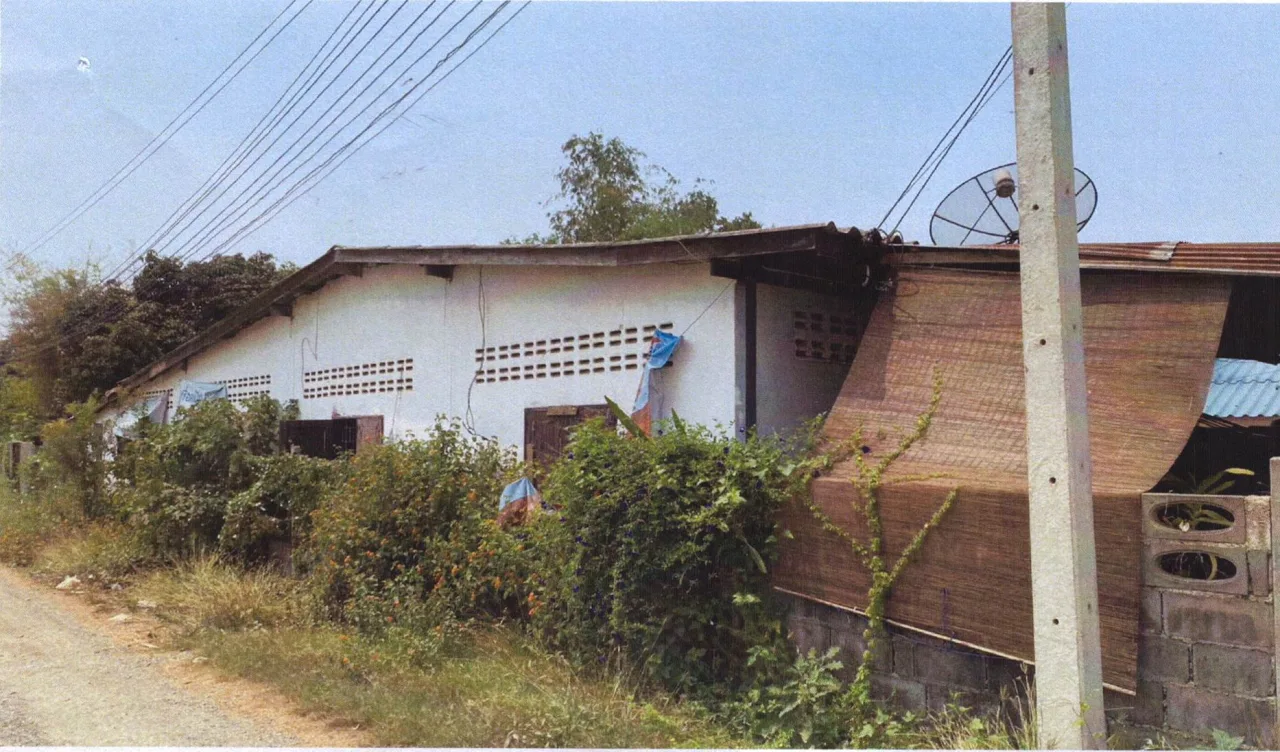 ขายทอดตลาด ที่ดินพร้อมสิ่งปลูกสร้าง ต.วังศาลา อ.ท่าม่วง จ.กาญจนบุรี