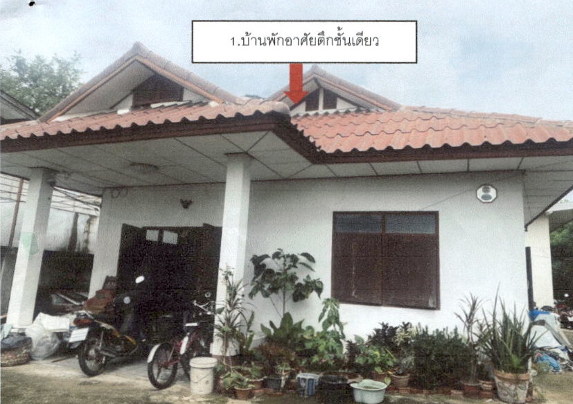 ขายทอดตลาด ที่ดินพร้อมสิ่งปลูกสร้าง ต.ในเมือง อ.เมืองชัยภูมิ จ.ชัยภูมิ