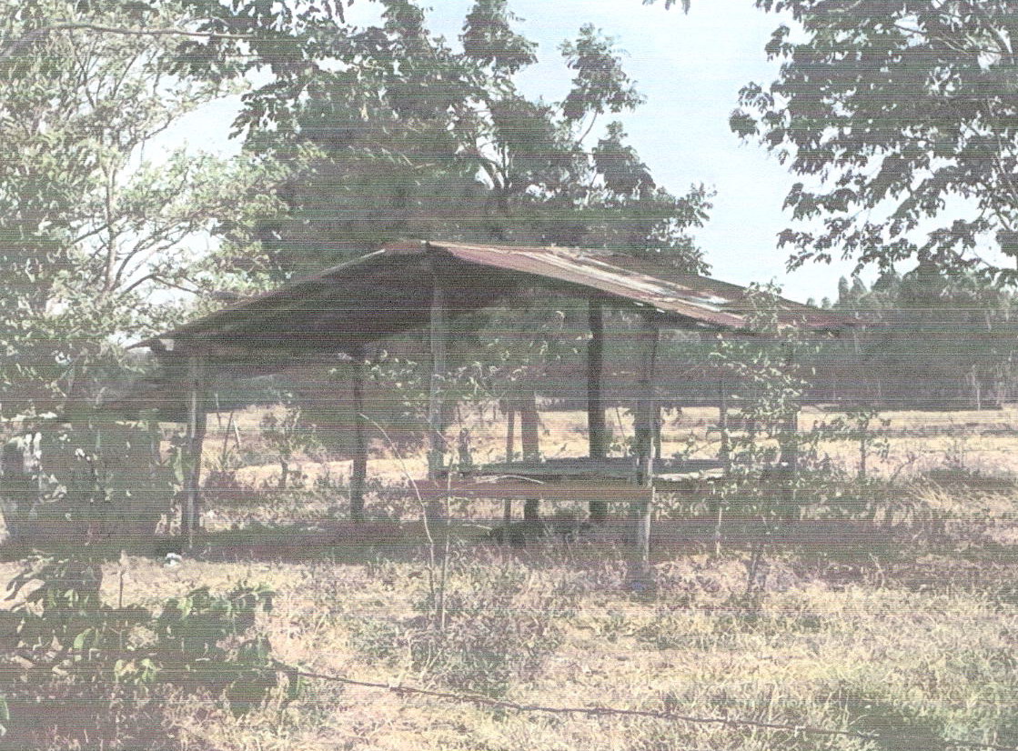 ขายทอดตลาด ที่ดินพร้อมสิ่งปลูกสร้าง ต.โคกมั่งงอย อ.คอนสวรรค์ จ.ชัยภูมิ