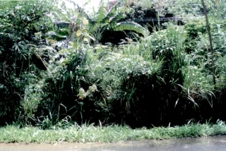 รูปทรัพย์ 10