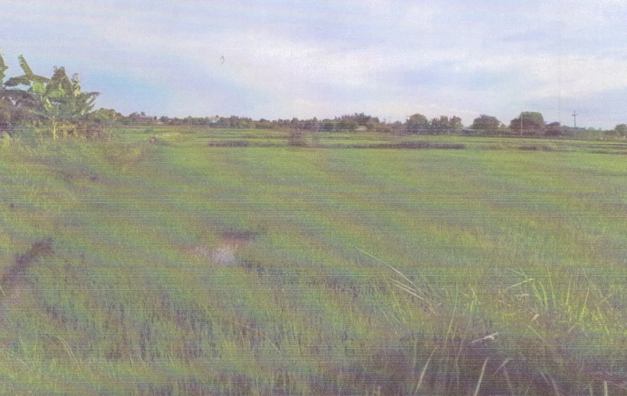 ขายทอดตลาด ที่ดินว่างเปล่า จ.ชัยภูมิ