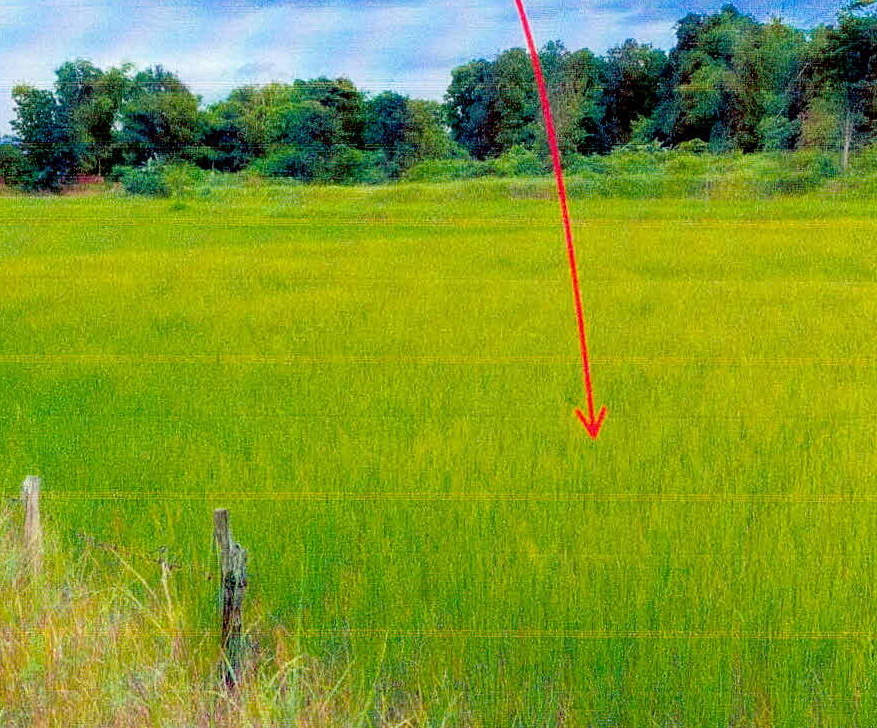 ขายทอดตลาด ที่ดินว่างเปล่า จ.ชัยภูมิ