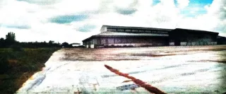 รูปทรัพย์ 8