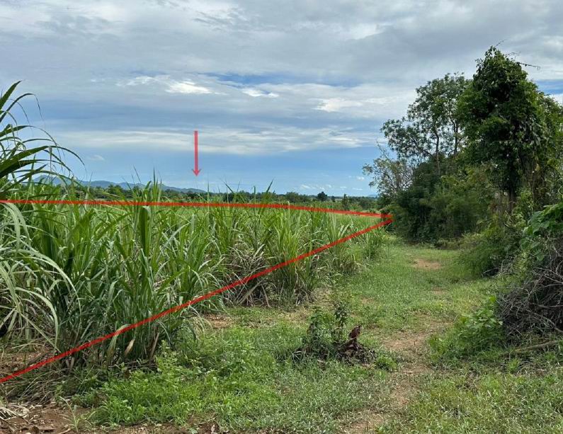 ขายทอดตลาด ที่ดินว่างเปล่า ต.หนองอ้อ อ.ศรีสัชนาลัย จ.สุโขทัย