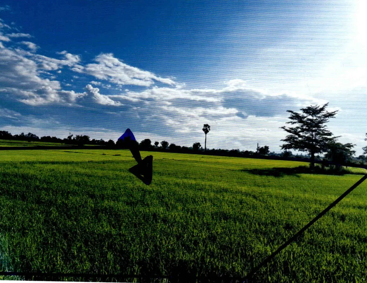 ขายทอดตลาด ที่ดินว่างเปล่า ต.เมืองบางขลัง อ.สวรรคโลก จ.สุโขทัย