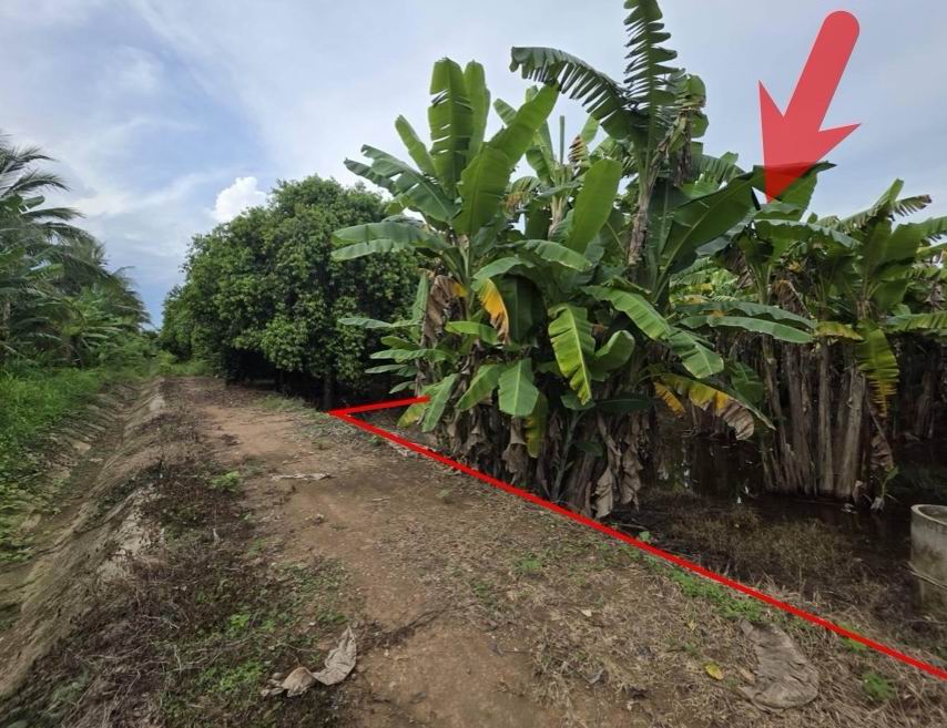 ขายทอดตลาด ที่ดินว่างเปล่า ต.คลองกระจง อ.สวรรคโลก จ.สุโขทัย