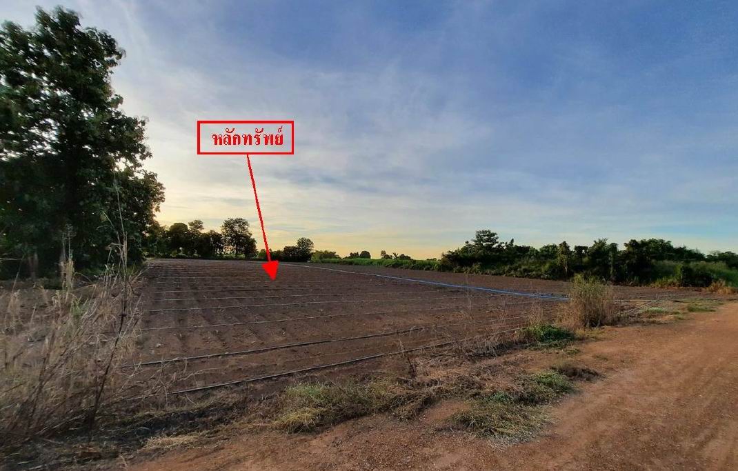 ขายทอดตลาด ที่ดินว่างเปล่า ต.นาทุ่ง อ.สวรรคโลก จ.สุโขทัย