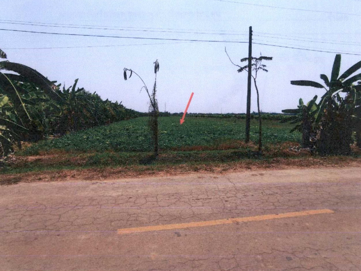 ขายทอดตลาด ที่ดินว่างเปล่า ต.คลองมะพลับ อ.ศรีนคร จ.สุโขทัย