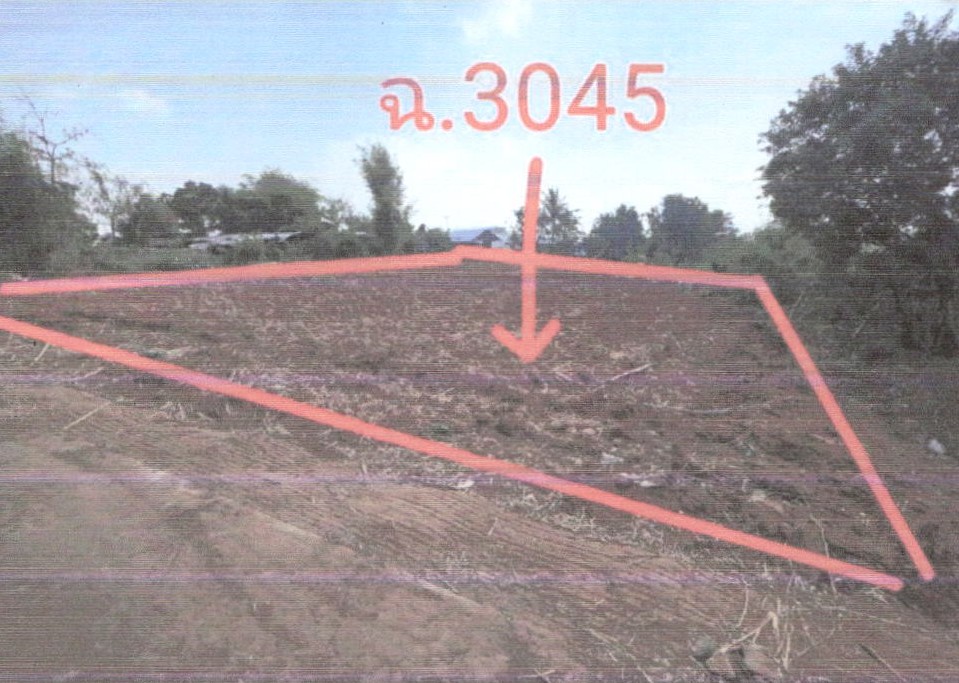 ขายทอดตลาด ที่ดินว่างเปล่า จ.ชัยภูมิ
