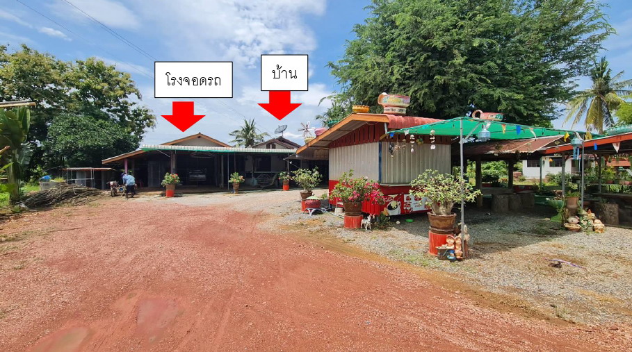 ขายทอดตลาด ที่ดินพร้อมสิ่งปลูกสร้าง ต.คลองมะพลับ อ.ศรีนคร จ.สุโขทัย
