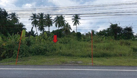 ขายทอดตลาด ที่ดินว่างเปล่า จ.สุโขทัย