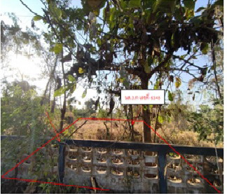 ขายทอดตลาด ที่ดินว่างเปล่า ต.ทุ่งเสลี่ยม อ.ทุ่งเสลี่ยม จ.สุโขทัย