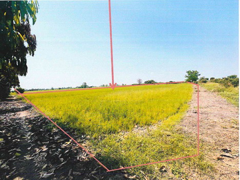 ขายทอดตลาด ที่ดินว่างเปล่า จ.สุโขทัย