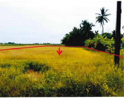 ขายทอดตลาด ที่ดินว่างเปล่า จ.สุโขทัย