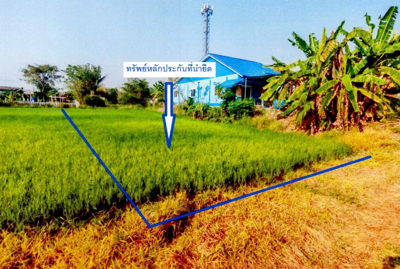 ขายทอดตลาด ที่ดินว่างเปล่า จ.ชลบุรี