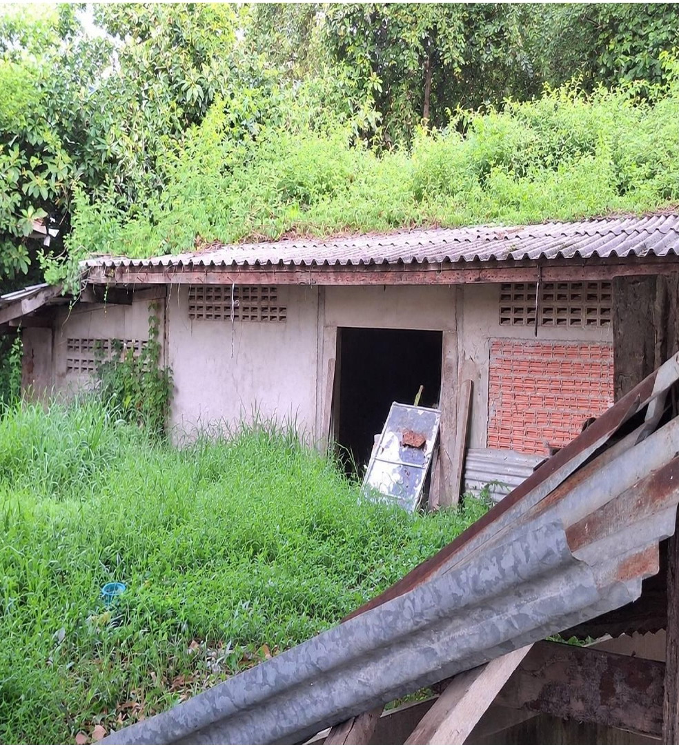 ขายทอดตลาด ที่ดินพร้อมสิ่งปลูกสร้าง ต.โพนทอง อ.เมืองชัยภูมิ จ.ชัยภูมิ