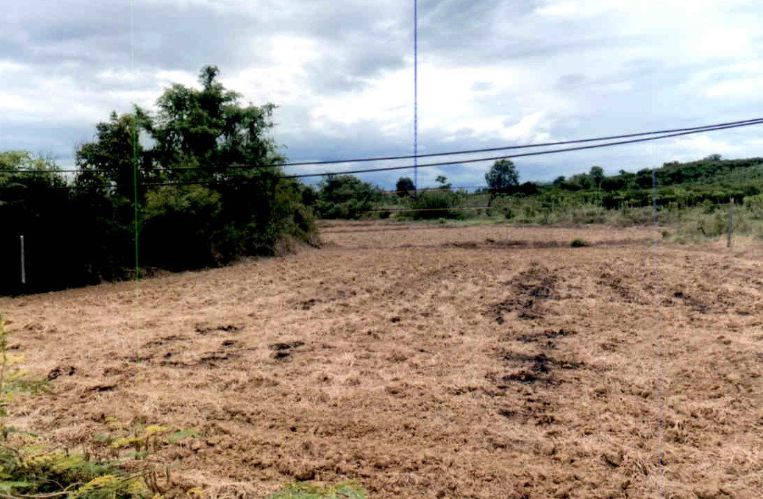 ขายทอดตลาด ที่ดินว่างเปล่า ต.แม่สิน อ.ศรีสัชนาลัย จ.สุโขทัย