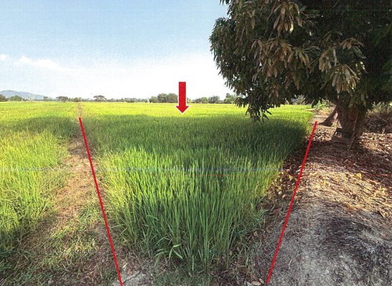 ขายทอดตลาด ที่ดินว่างเปล่า จ.สุโขทัย