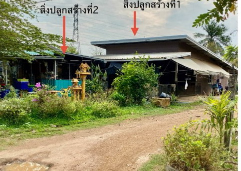 ขายทอดตลาด ที่ดินพร้อมสิ่งปลูกสร้าง ต.คลองมะพลับ อ.ศรีนคร จ.สุโขทัย