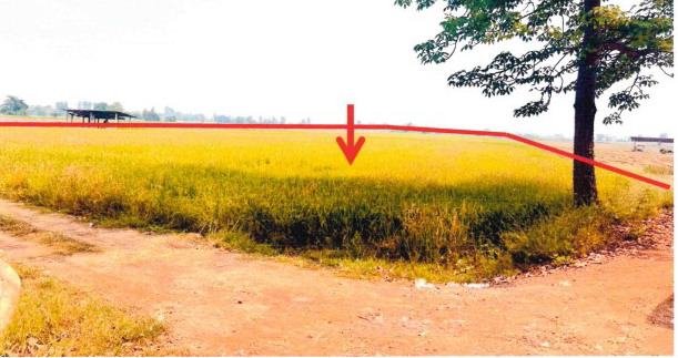 ขายทอดตลาด ที่ดินว่างเปล่า จ.สุโขทัย