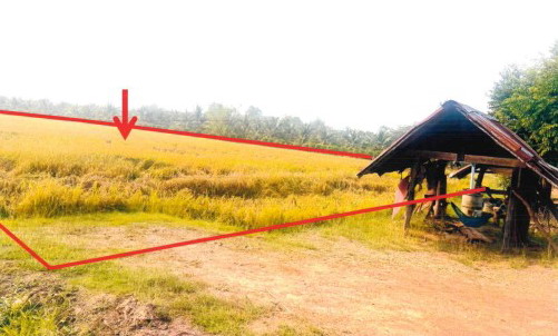 ขายทอดตลาด ที่ดินว่างเปล่า จ.สุโขทัย