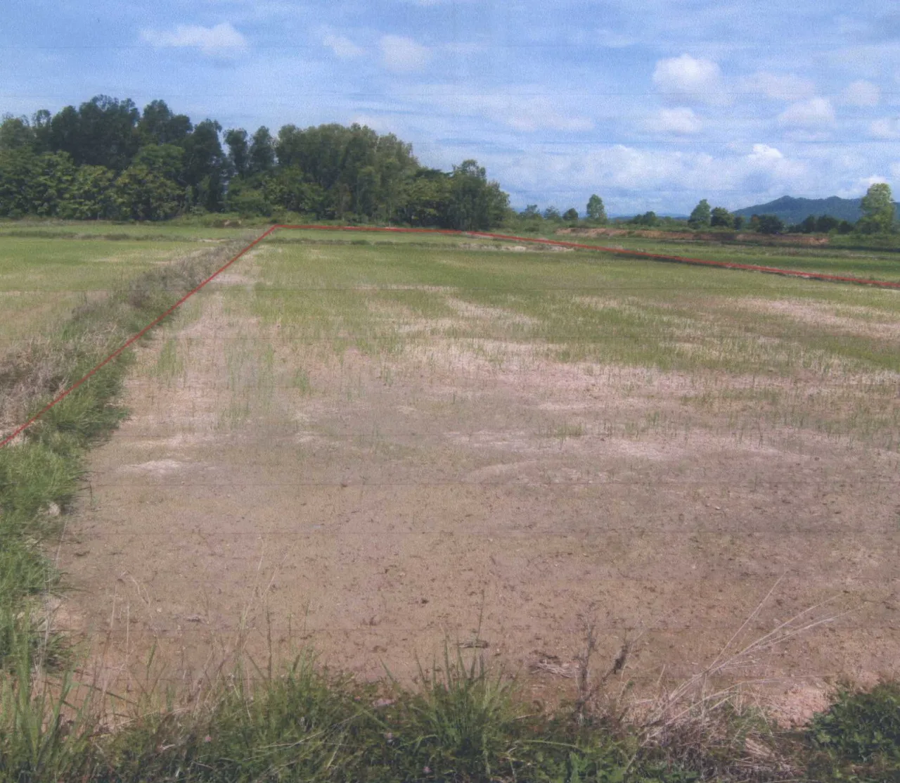 ขายทอดตลาด ที่ดินว่างเปล่า จ.สุโขทัย