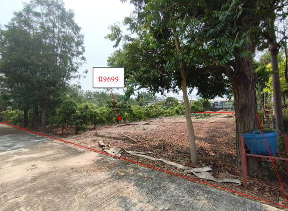 ขายทอดตลาด ที่ดินว่างเปล่า ต.หนองบัว อ.ศรีนคร จ.สุโขทัย