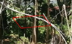 ขายทอดตลาด ที่ดินว่างเปล่า ต.บ้านแก่ง อ.ศรีสัชนาลัย จ.สุโขทัย