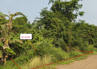ขายทอดตลาด ที่ดินว่างเปล่า ต.ในเมือง อ.สวรรคโลก จ.สุโขทัย