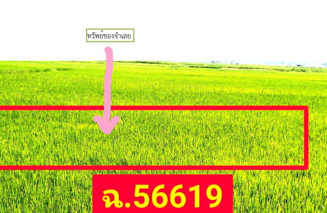 ขายทอดตลาด ที่ดินว่างเปล่า ต.ปากน้ำ อ.สวรรคโลก จ.สุโขทัย