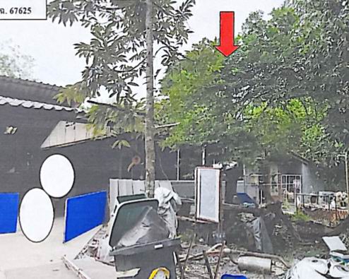ขายทอดตลาด ที่ดินพร้อมสิ่งปลูกสร้าง ต.ดงขี้เหล็ก อ.เมืองปราจีนบุรี จ.ปราจีนบุรี