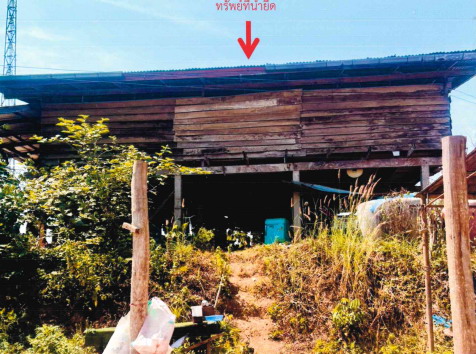 ขายทอดตลาด ที่ดินพร้อมสิ่งปลูกสร้าง ต.แม่สิน อ.ศรีสัชนาลัย จ.สุโขทัย