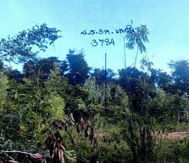 ขายทอดตลาด ที่ดินว่างเปล่า ต.ไทยชนะศึก อ.ทุ่งเสลี่ยม จ.สุโขทัย