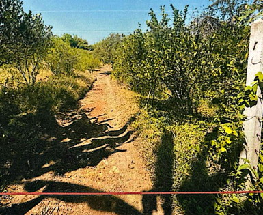 ขายทอดตลาด ที่ดินว่างเปล่า ต.แม่สิน อ.ศรีสัชนาลัย จ.สุโขทัย