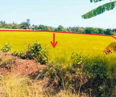 ขายทอดตลาด ที่ดินว่างเปล่า จ.สุโขทัย
