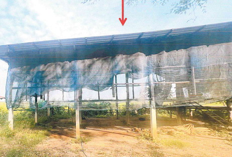 ขายทอดตลาด ที่ดินพร้อมสิ่งปลูกสร้าง ต.คลองมะพลับ อ.ศรีนคร จ.สุโขทัย