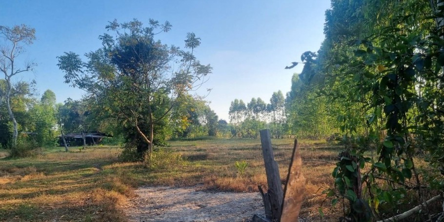 ขายทอดตลาด ที่ดินว่างเปล่า จ.อุดรธานี